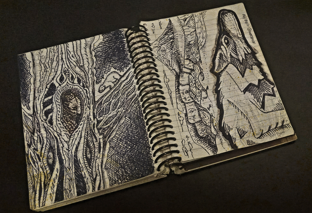 Desenhos do diário xamânico